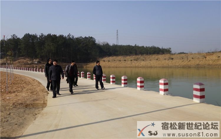 宿松文艺名家赴九姑乡美好乡村建设示范点采风01.jpg