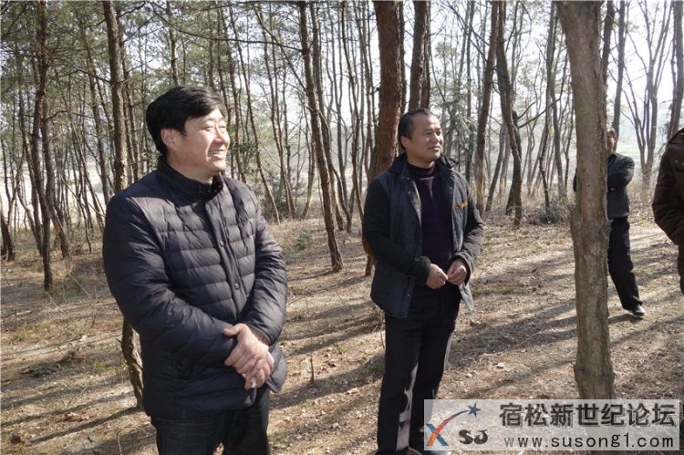 宿松文艺名家赴九姑乡美好乡村建设示范点采风03.jpg