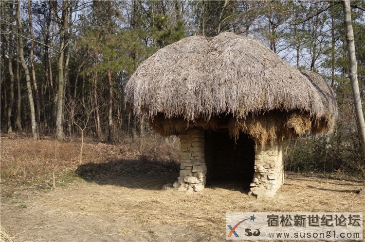 宿松文艺名家赴九姑乡美好乡村建设示范点采风04.jpg
