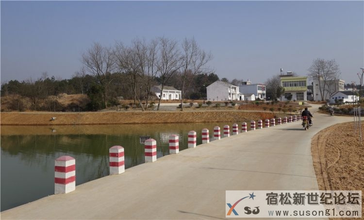 宿松文艺名家赴九姑乡美好乡村建设示范点采风05.jpg