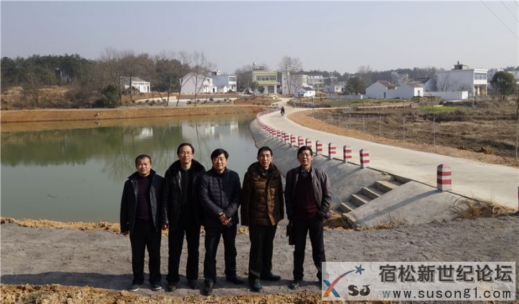 宿松文艺名家赴九姑乡美好乡村建设示范点采风07.jpg