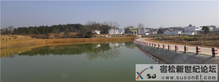 宿松文艺名家赴九姑乡美好乡村建设示范点采风06.jpg