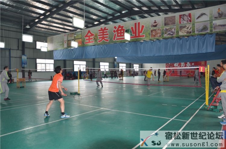 宿松建筑协会首届“建筑杯”羽毛球友谊赛，宿松新世纪论坛何仁摄8.jpg