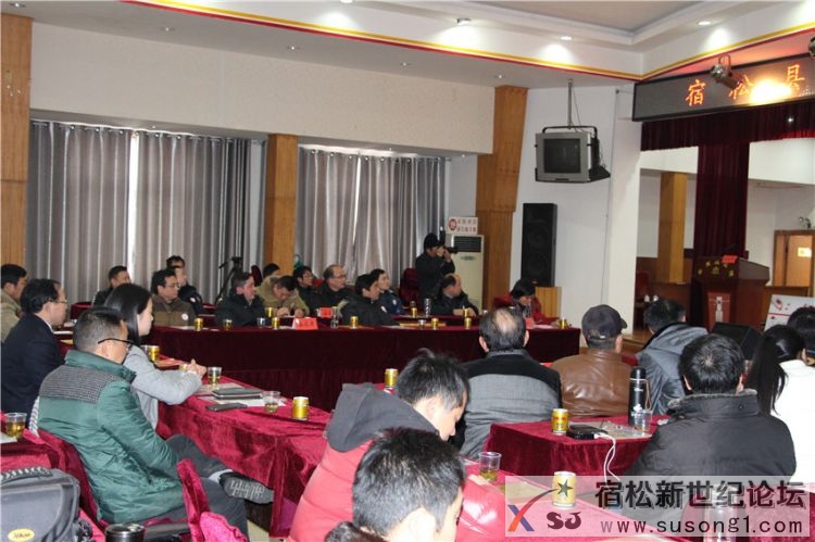 宿松义工2015座谈会剪影，宿松新世纪论坛何仁摄 (6).jpg