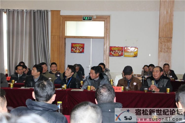 宿松义工2015座谈会剪影，宿松新世纪论坛何仁摄 (12).jpg