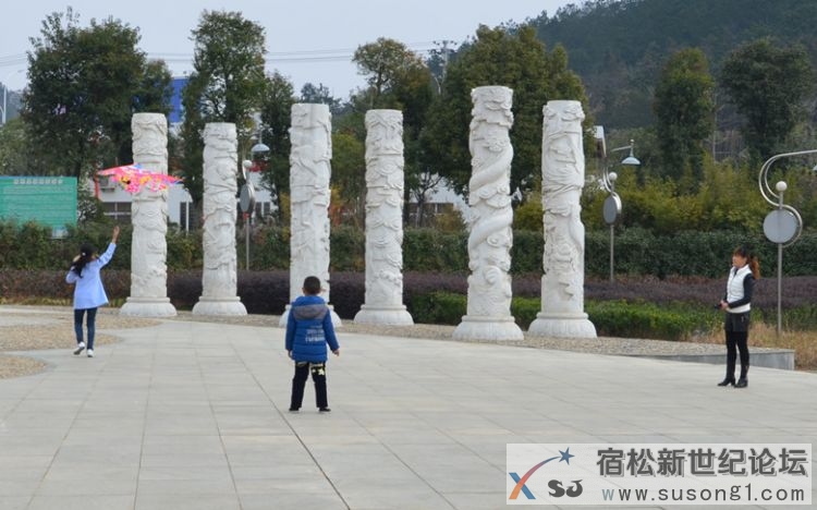 DSC_1333_副本.jpg