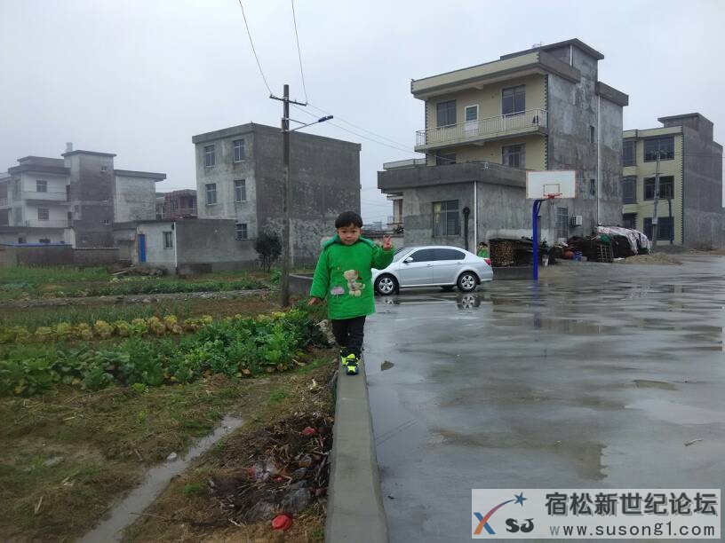 120212htl8z4jlprttdtjd.jpg
