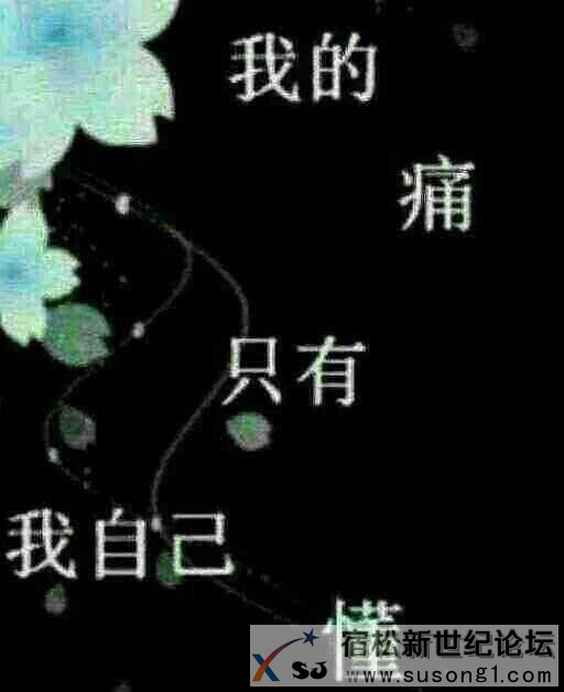 35804