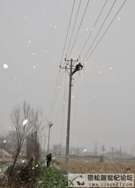 春节前期冒雪更换高压瓷瓶.JPG