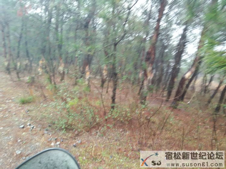 IMG20150221100818.jpg