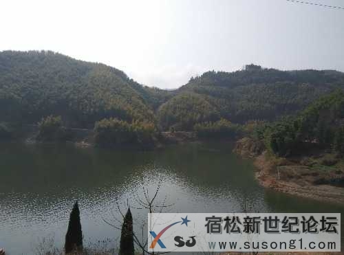 IMG_20150222_110847.jpg