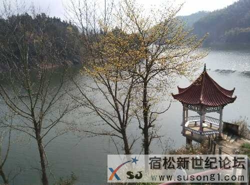 IMG_20150222_110150.jpg