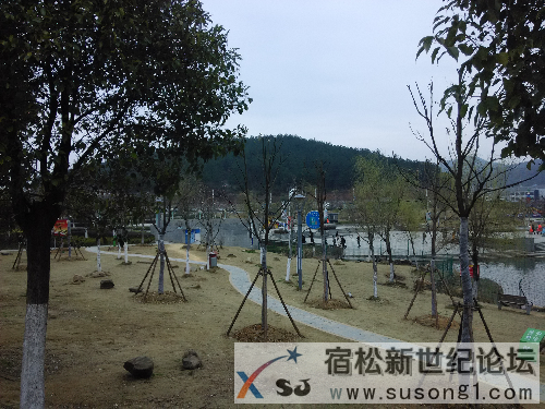 IMG_20150304_141934.jpg