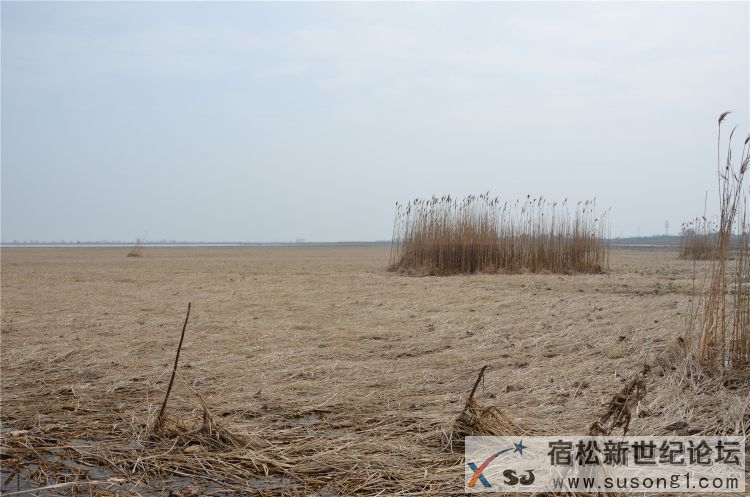 宿松新世纪论坛体验组走进宿松大龙集团，宿松水产重地20.jpg