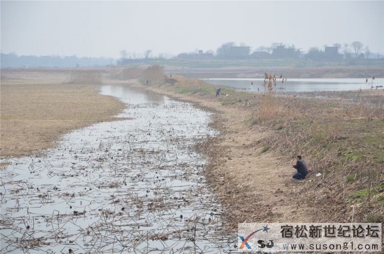 宿松新世纪论坛体验组走进宿松大龙集团，宿松水产重地25.jpg