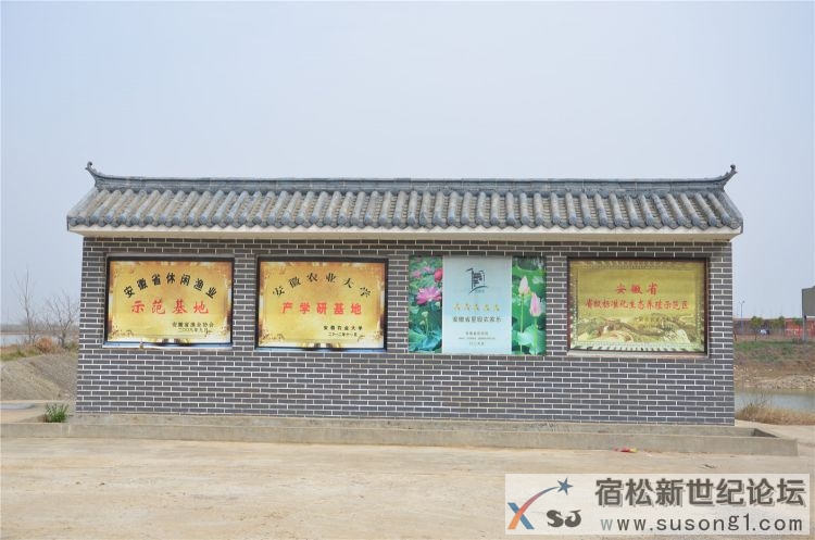 宿松新世纪论坛体验组走进宿松大龙集团，宿松水产重地27.jpg