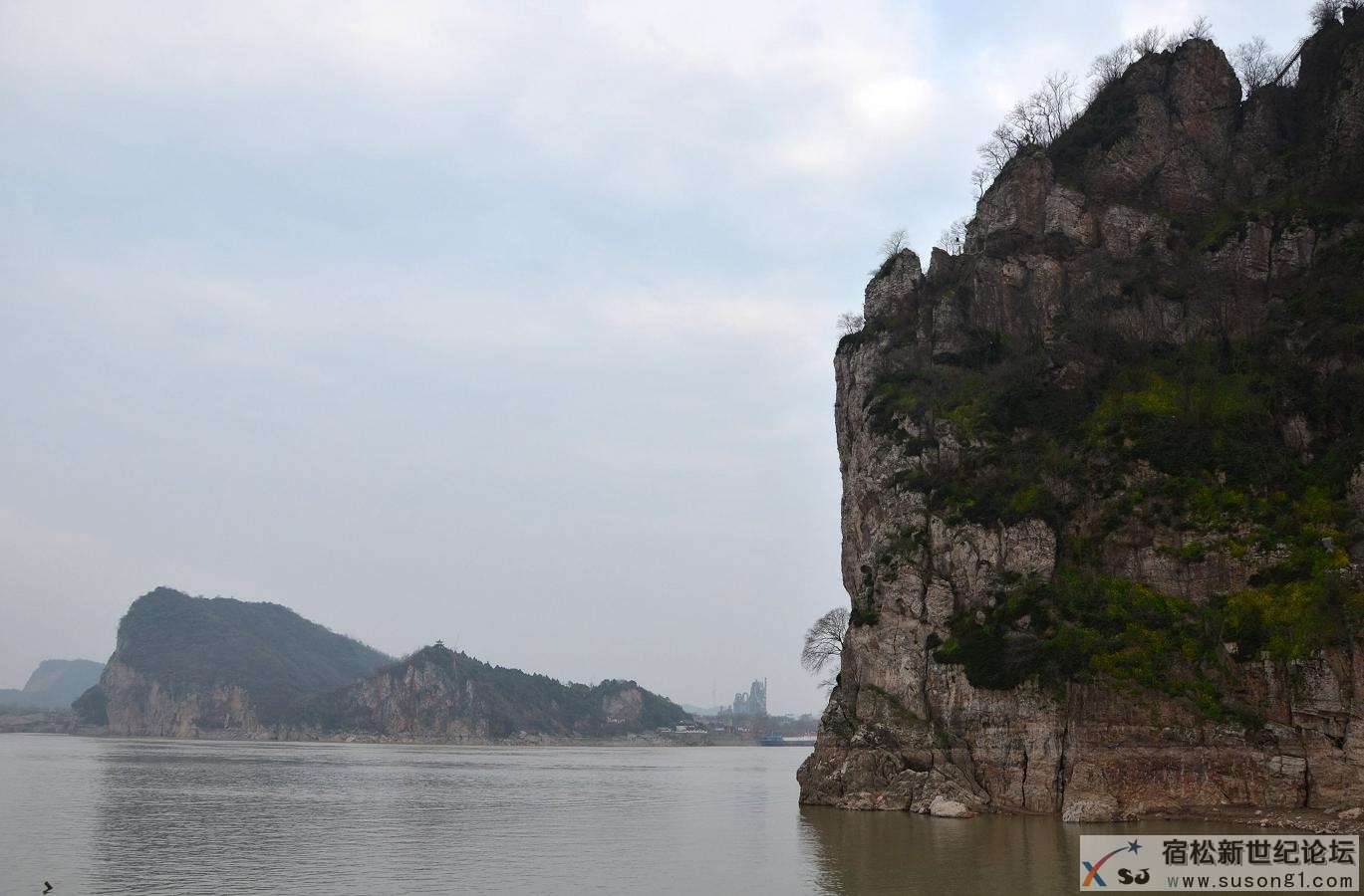 春到孤山1.jpg
