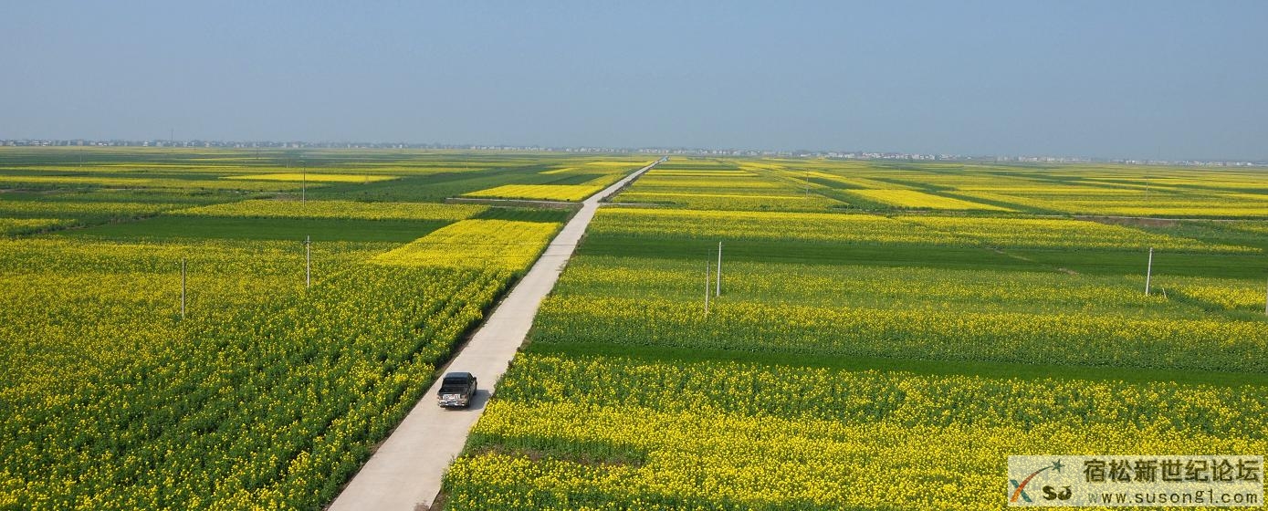 大地飞花.jpg