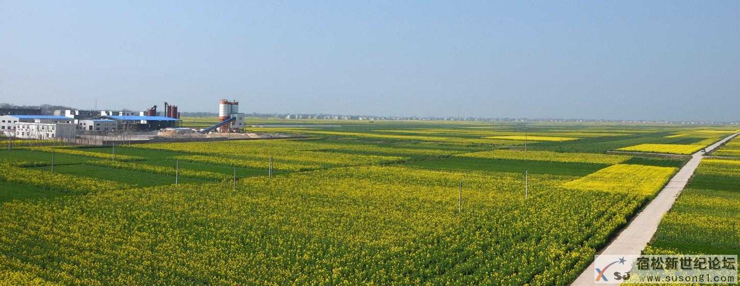 大地飞花1.jpg