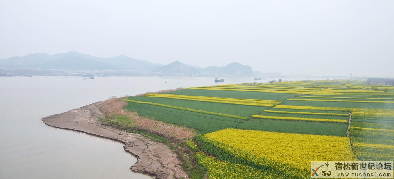 花开江北.jpg