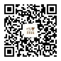 skinfood.chengjiaolv.cn
