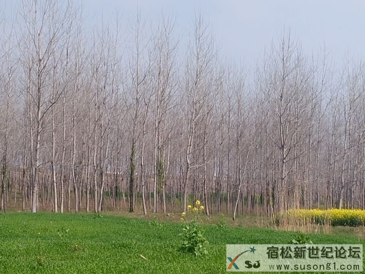 IMG20150313105154.jpg