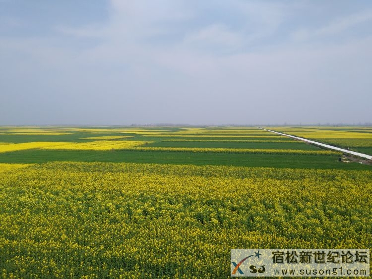 IMG20150313102121.jpg