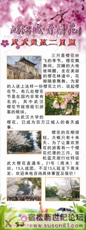 樱花11.jpg