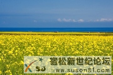 t01ae10e8ba617e0e7f.jpg