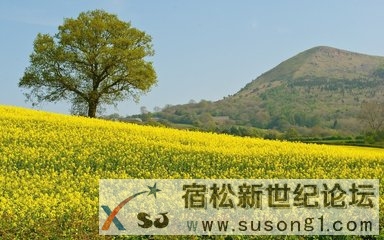 t019e581a56d8ca85a7.jpg