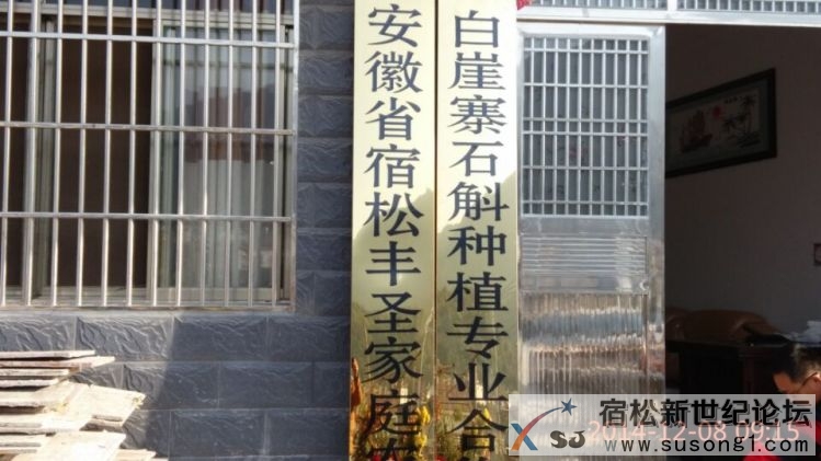 宿松药材基地 (1).jpg