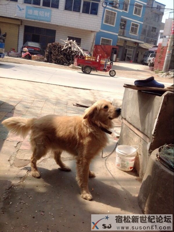 QQ图片20150317083014.jpg