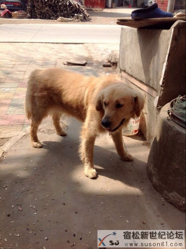QQ图片20150317083023.jpg