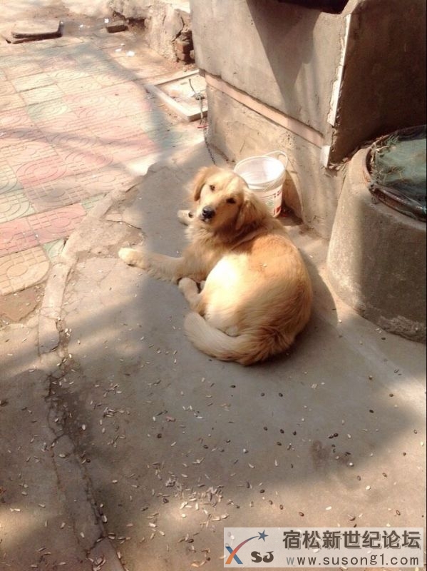QQ图片20150317083027.jpg