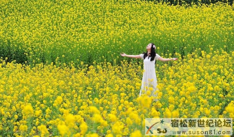 美女油菜花图片3.jpg