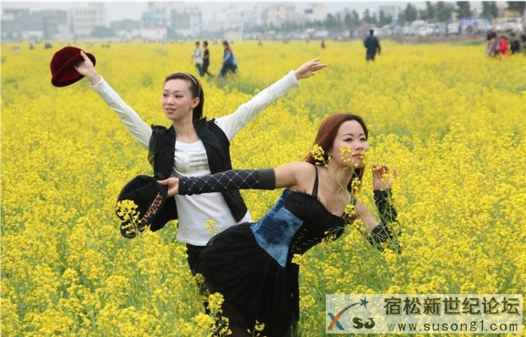 美女油菜花图片4.jpg
