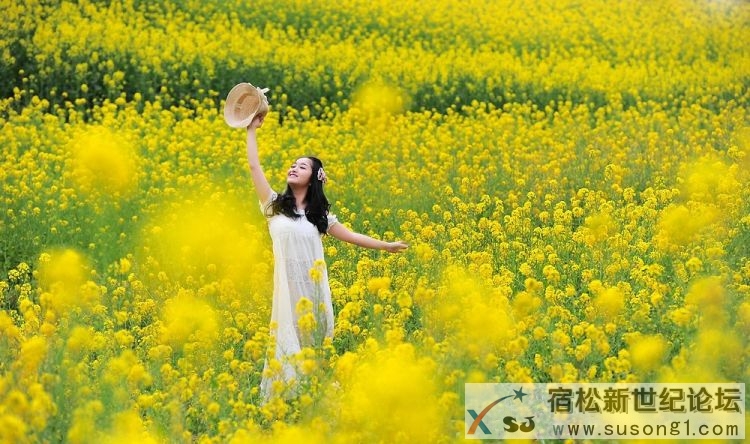 美女油菜花图片5.jpg