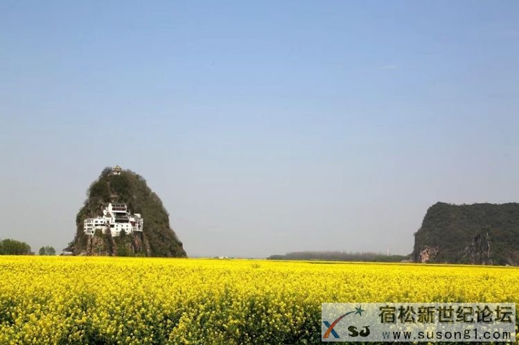宿松，宿松新世纪论坛 (2).jpg
