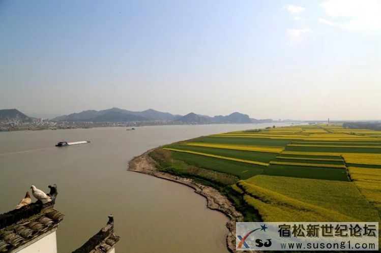 宿松，宿松新世纪论坛 (6).jpg