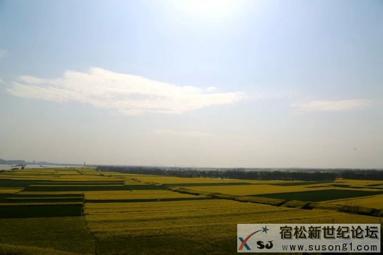 宿松，宿松新世纪论坛 (17).jpg
