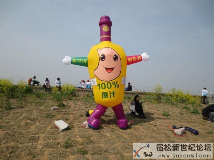 合肥第二届411环巢湖毅行大会剪影，宿松新世纪论坛 (2).jpg