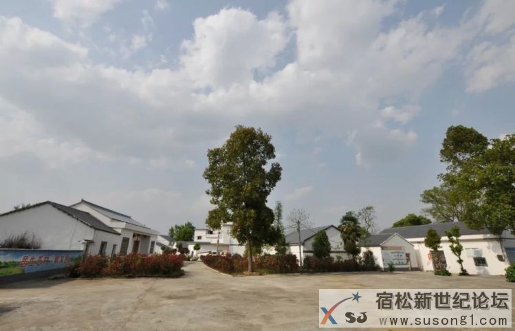 【镜头中的美好乡村】——宿松县河塌乡黄坂村 (9).jpg