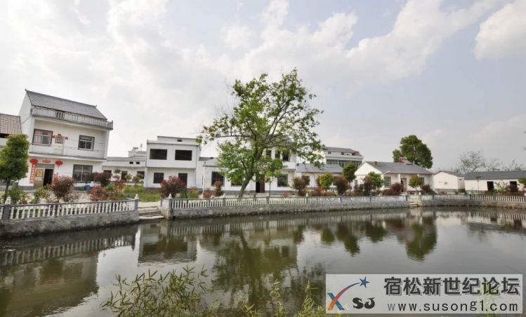 【镜头中的美好乡村】——宿松县河塌乡黄坂村 (1).jpg