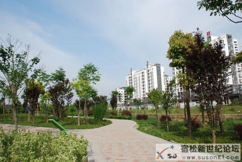 QQ图片20150427144054.jpg