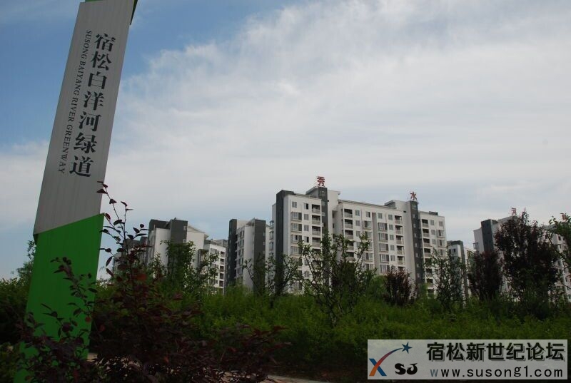 QQ图片20150427144126.jpg