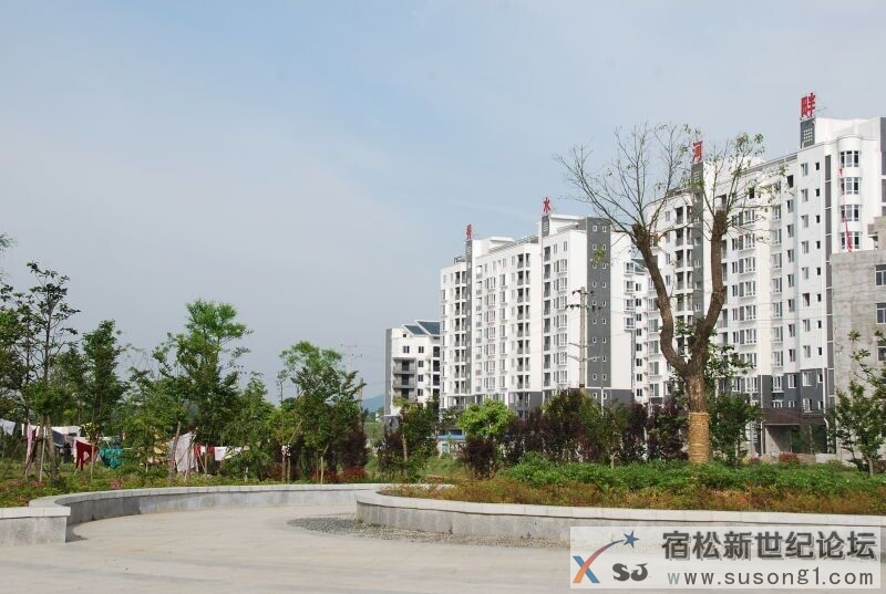 QQ图片20150427144134.jpg