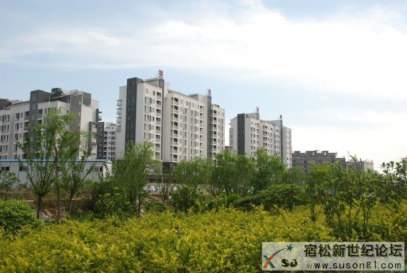QQ图片20150427144210.jpg