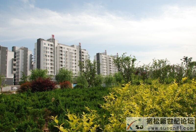 QQ图片20150427144200.jpg