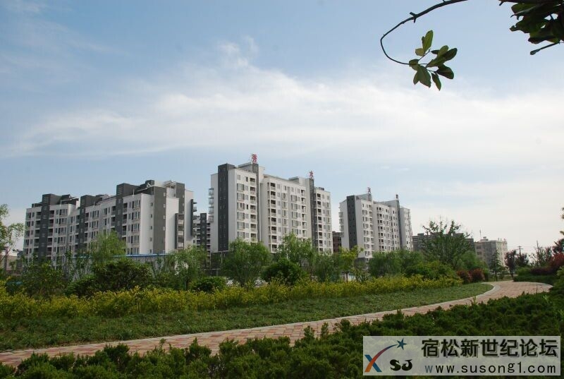 QQ图片20150427144205.jpg