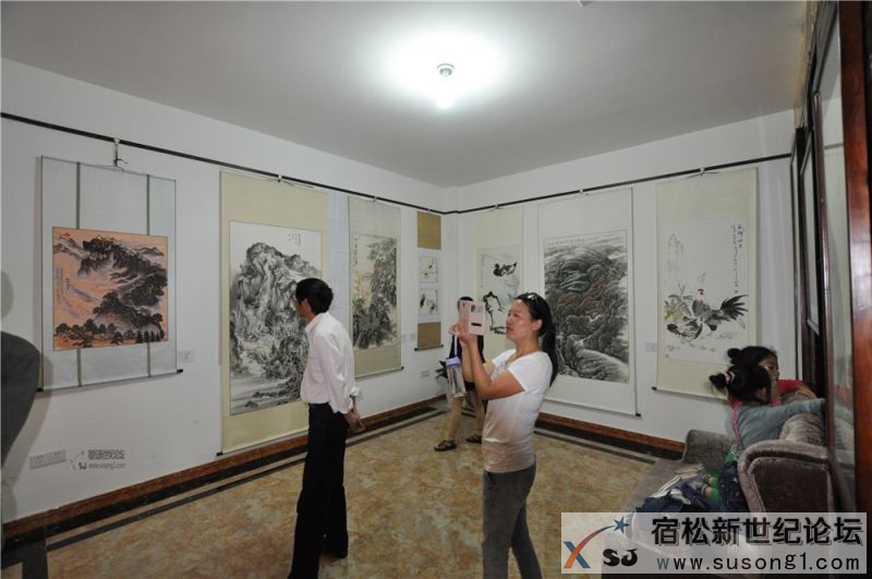 大道至简2015宿松美术作品展35.jpg